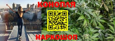крисы Усть-Илимск