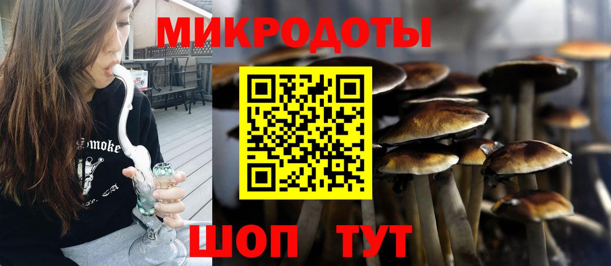 Галлюциногенные грибы Psilocybe Рассказово